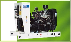 Grupo electrógeno a gas FG WILSON UG14P1-UG16.5E1