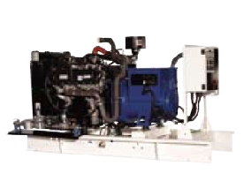 Grupo electrógeno a gas FG WILSON  FG51P1-FG60E1