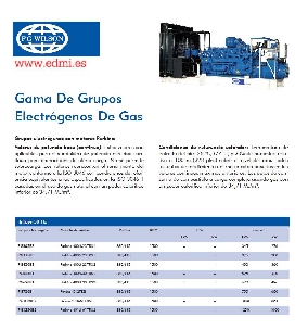 Gama de Grupos Electrógenos de Gas